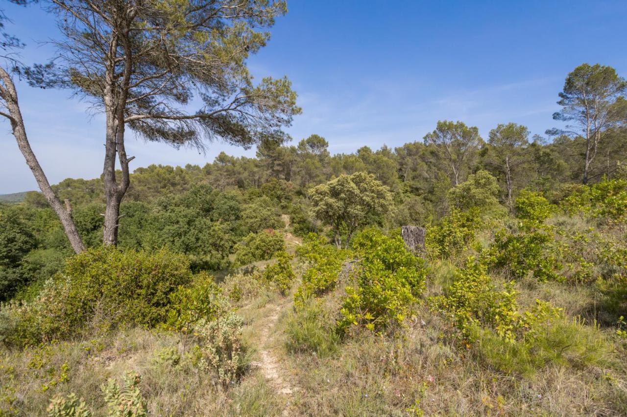 Villa Petit Paradis Garrigue Moulézan Exterior foto